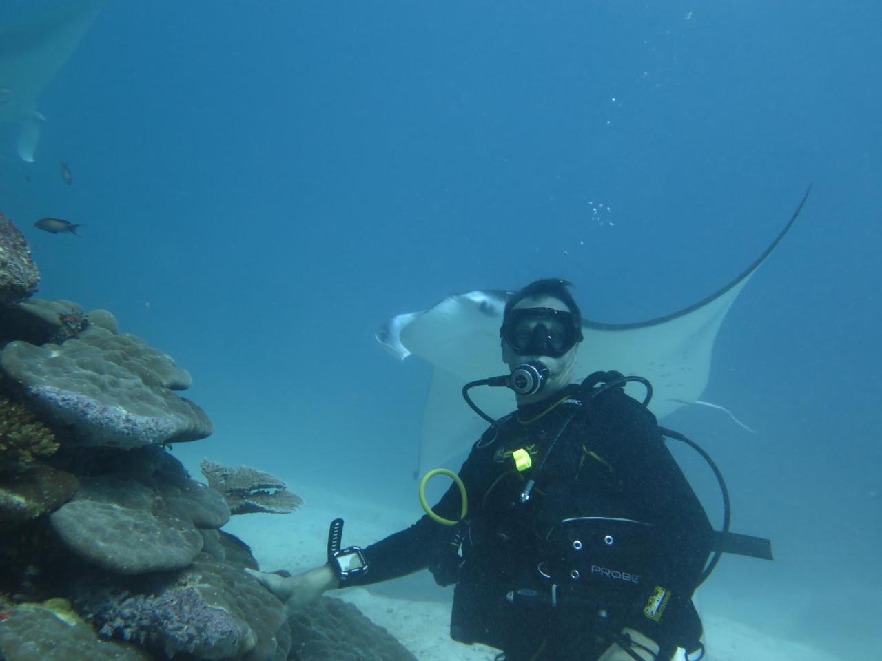 South Ari Dive Center Hotel Dhangethi Exterior foto