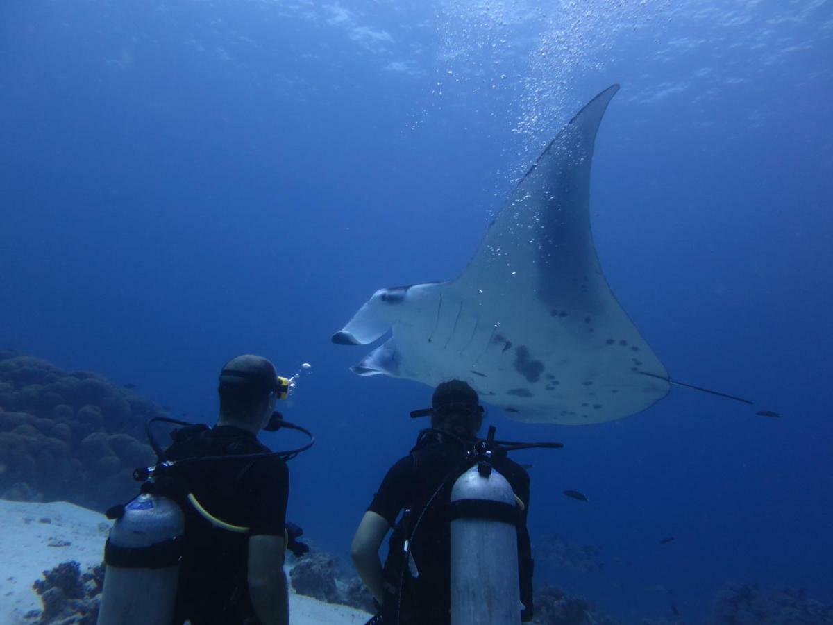 South Ari Dive Center Hotel Dhangethi Exterior foto